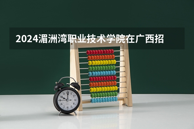 2024湄洲湾职业技术学院在广西招生计划多少人