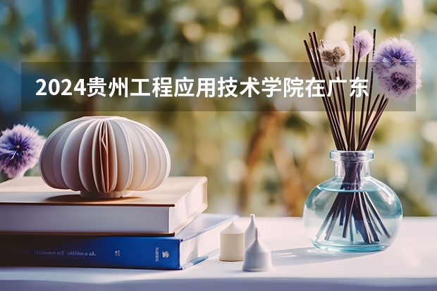 2024贵州工程应用技术学院在广东招生计划多少人