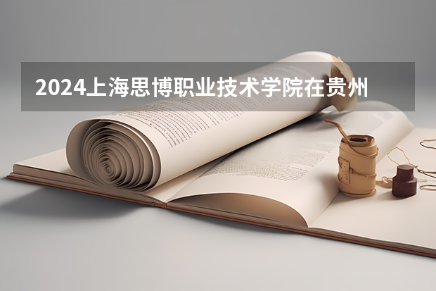 2024上海思博职业技术学院在贵州招生计划多少人