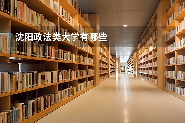 沈阳政法类大学有哪些