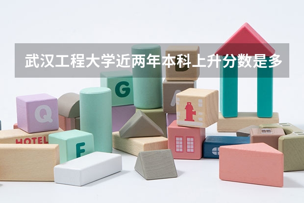 武汉工程大学近两年本科上升分数是多少