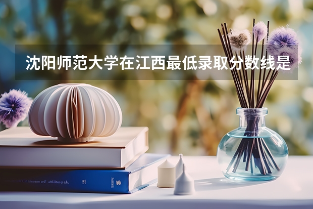 沈阳师范大学在江西最低录取分数线是多少