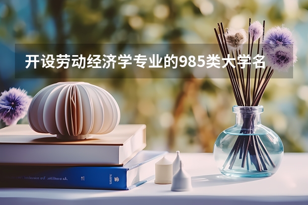 开设劳动经济学专业的985类大学名单