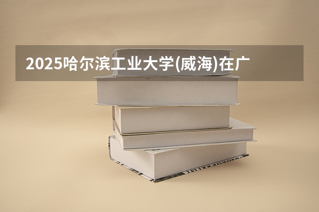 2025哈尔滨工业大学(威海)在广东招生计划人数汇总