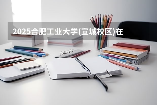 2025合肥工业大学(宣城校区)在山东招生计划人数汇总