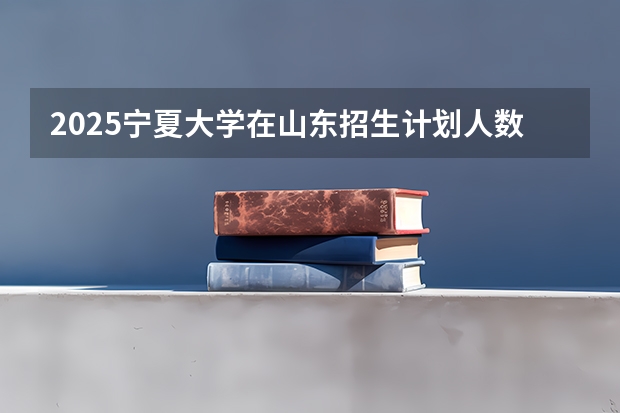 2025宁夏大学在山东招生计划人数汇总