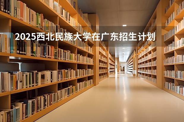 2025西北民族大学在广东招生计划人数汇总
