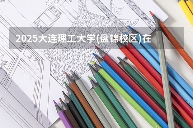 2025大连理工大学(盘锦校区)在湖南招生计划人数汇总