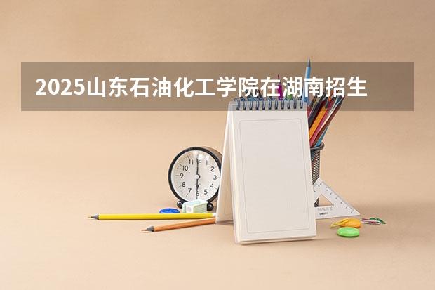 2025山东石油化工学院在湖南招生计划人数汇总