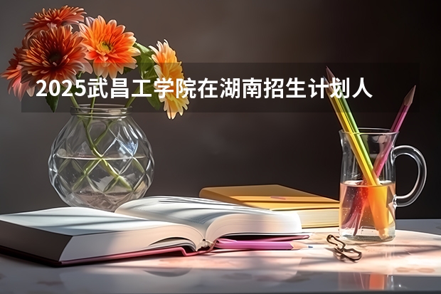 2025武昌工学院在湖南招生计划人数汇总