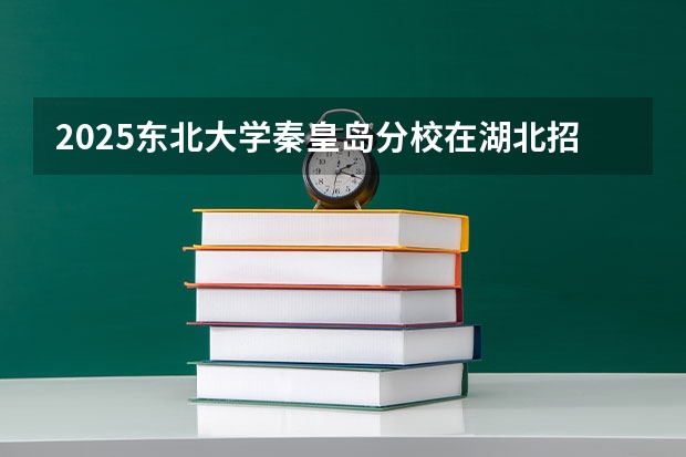 2025东北大学秦皇岛分校在湖北招生计划人数汇总