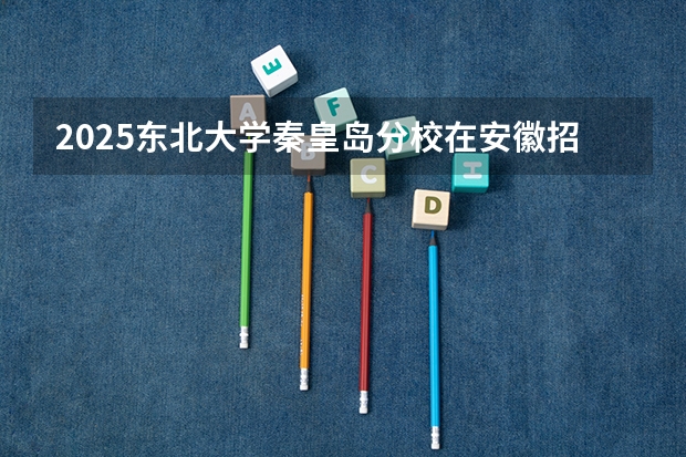 2025东北大学秦皇岛分校在安徽招生计划人数汇总
