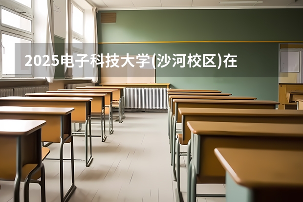 2025电子科技大学(沙河校区)在湖南招生计划人数汇总
