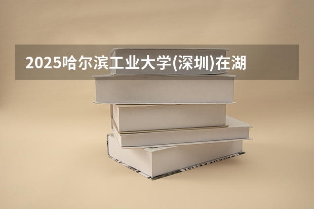2025哈尔滨工业大学(深圳)在湖南招生计划人数汇总