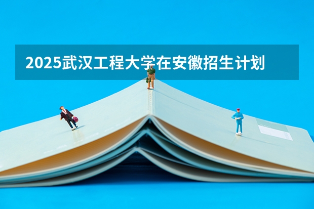2025武汉工程大学在安徽招生计划人数汇总