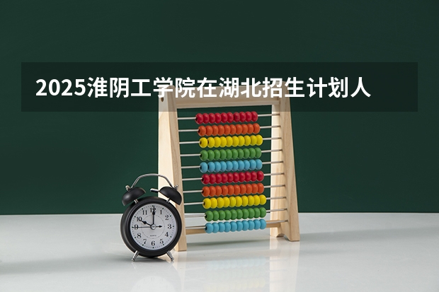 2025淮阴工学院在湖北招生计划人数汇总