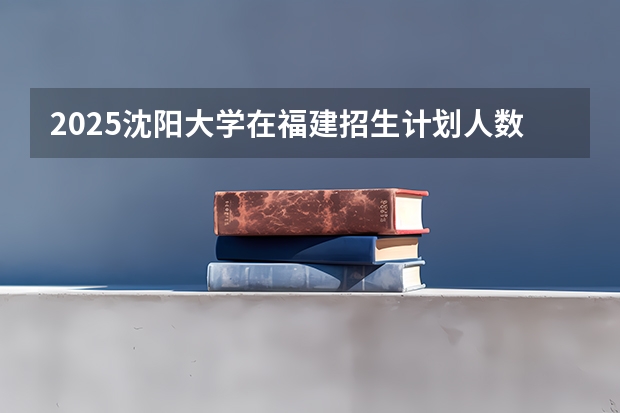 2025沈阳大学在福建招生计划人数汇总