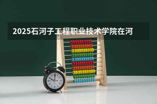 2025石河子工程职业技术学院在河南招生计划人数汇总