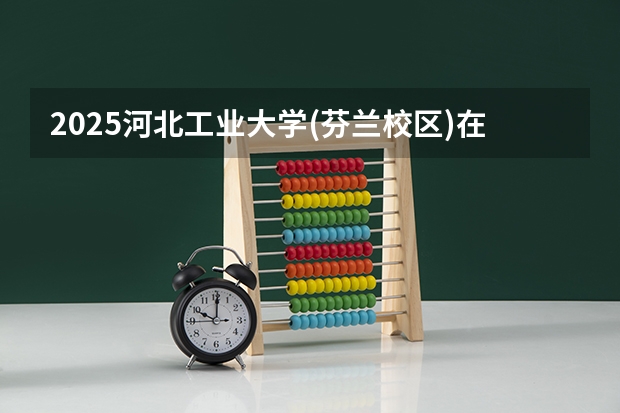 2025河北工业大学(芬兰校区)在河北招生计划人数汇总