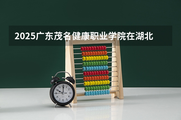 2025广东茂名健康职业学院在湖北招生计划人数汇总