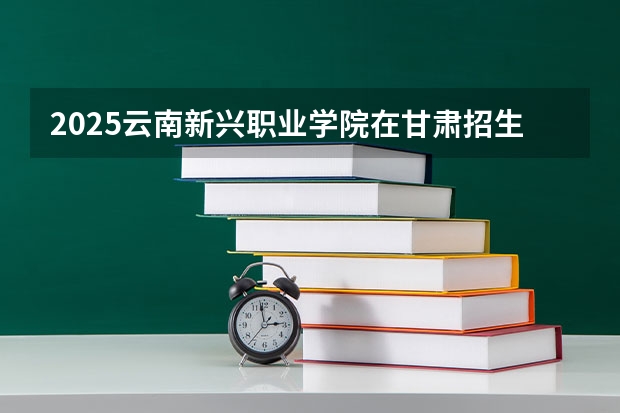 2025云南新兴职业学院在甘肃招生计划人数汇总